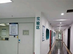 株洲哪家医院能做亲子鉴定，株洲医院做DNA鉴定需要什么材料和流程