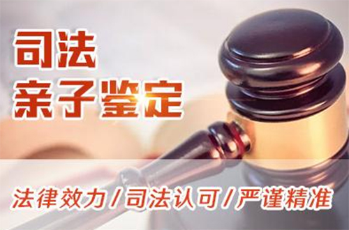 株洲司法亲子鉴定预约流程,株洲权威司法DNA亲子鉴定中心