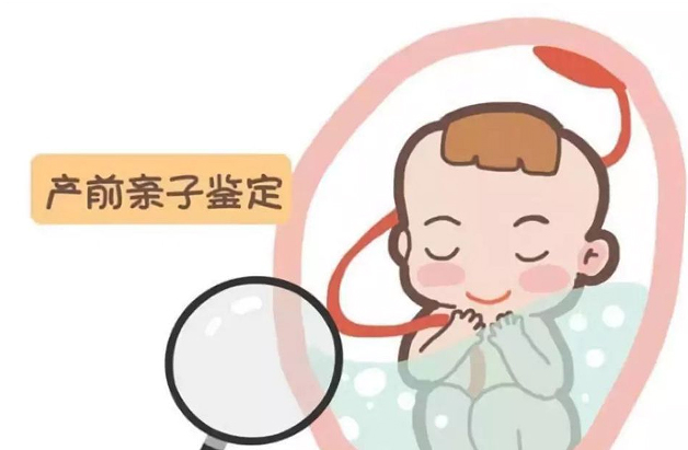 株洲怀孕了如何确认宝宝是谁的,株洲怀孕亲子鉴定多少钱