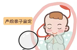 株洲怀孕了如何做亲子鉴定最简单方便，株洲孕期亲子鉴定如何收费